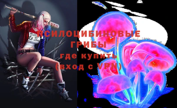 амфетамин Богородицк