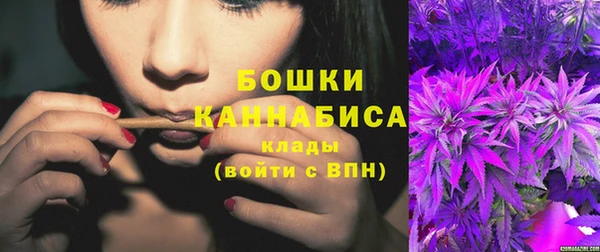 ешки Бородино
