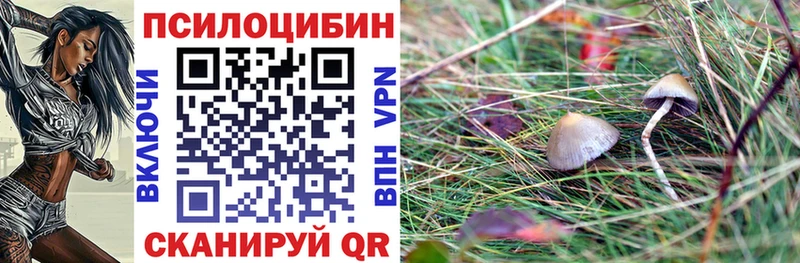 Галлюциногенные грибы Psilocybine cubensis  дарнет шоп  МЕГА ТОР  Купино 